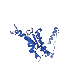 11635_7a4j_AC_v1-2
Aquifex aeolicus lumazine synthase-derived nucleocapsid variant NC-4