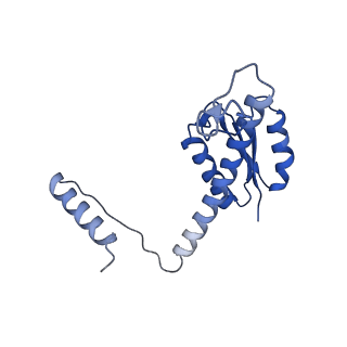 11635_7a4j_AD_v1-2
Aquifex aeolicus lumazine synthase-derived nucleocapsid variant NC-4
