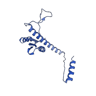 11635_7a4j_BA_v1-2
Aquifex aeolicus lumazine synthase-derived nucleocapsid variant NC-4