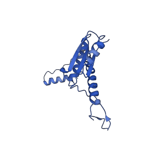 11635_7a4j_BB_v1-2
Aquifex aeolicus lumazine synthase-derived nucleocapsid variant NC-4