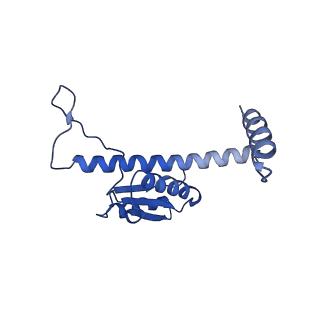 11635_7a4j_BC_v1-2
Aquifex aeolicus lumazine synthase-derived nucleocapsid variant NC-4