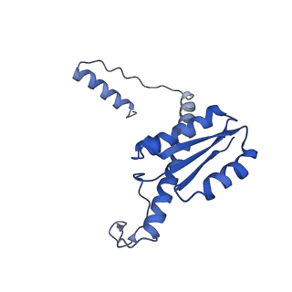 11635_7a4j_BD_v1-2
Aquifex aeolicus lumazine synthase-derived nucleocapsid variant NC-4