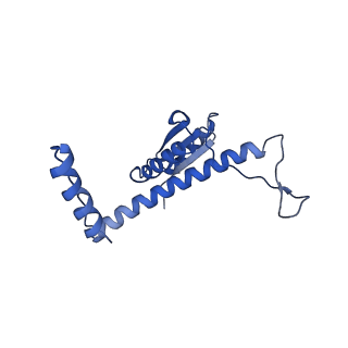 11635_7a4j_CA_v1-2
Aquifex aeolicus lumazine synthase-derived nucleocapsid variant NC-4