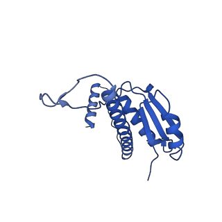 11635_7a4j_CB_v1-2
Aquifex aeolicus lumazine synthase-derived nucleocapsid variant NC-4