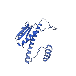 11635_7a4j_CC_v1-2
Aquifex aeolicus lumazine synthase-derived nucleocapsid variant NC-4