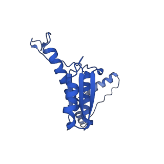 11635_7a4j_CD_v1-2
Aquifex aeolicus lumazine synthase-derived nucleocapsid variant NC-4