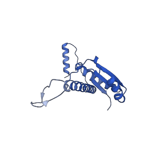 11635_7a4j_DA_v1-2
Aquifex aeolicus lumazine synthase-derived nucleocapsid variant NC-4