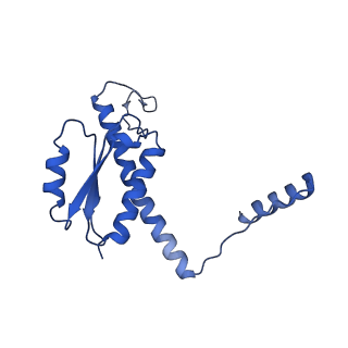 11635_7a4j_DB_v1-2
Aquifex aeolicus lumazine synthase-derived nucleocapsid variant NC-4
