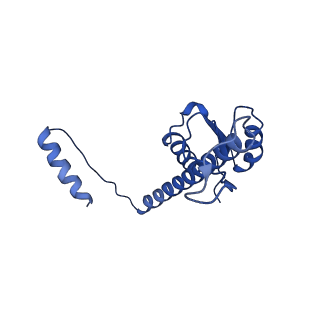 11635_7a4j_DC_v1-2
Aquifex aeolicus lumazine synthase-derived nucleocapsid variant NC-4