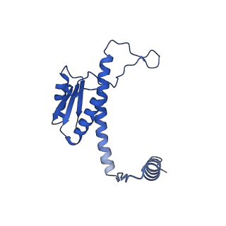 11635_7a4j_DD_v1-2
Aquifex aeolicus lumazine synthase-derived nucleocapsid variant NC-4