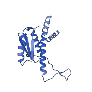 11635_7a4j_EA_v1-2
Aquifex aeolicus lumazine synthase-derived nucleocapsid variant NC-4
