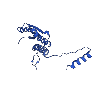 11635_7a4j_FA_v1-2
Aquifex aeolicus lumazine synthase-derived nucleocapsid variant NC-4
