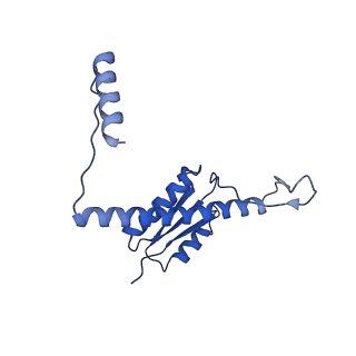 11635_7a4j_FB_v1-2
Aquifex aeolicus lumazine synthase-derived nucleocapsid variant NC-4