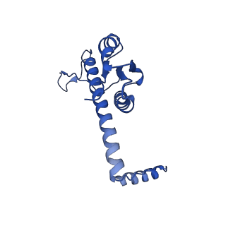 11635_7a4j_FC_v1-2
Aquifex aeolicus lumazine synthase-derived nucleocapsid variant NC-4