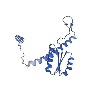 11635_7a4j_FD_v1-2
Aquifex aeolicus lumazine synthase-derived nucleocapsid variant NC-4
