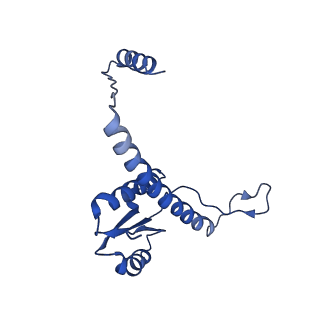 11635_7a4j_GA_v1-2
Aquifex aeolicus lumazine synthase-derived nucleocapsid variant NC-4
