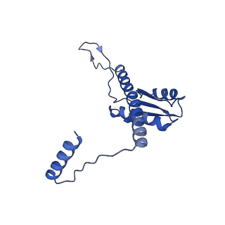 11635_7a4j_GB_v1-2
Aquifex aeolicus lumazine synthase-derived nucleocapsid variant NC-4