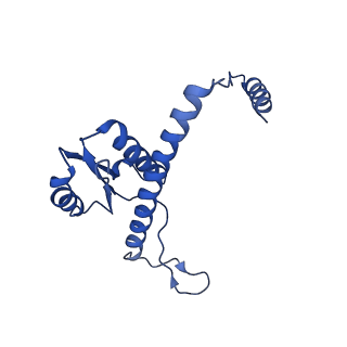 11635_7a4j_GC_v1-2
Aquifex aeolicus lumazine synthase-derived nucleocapsid variant NC-4