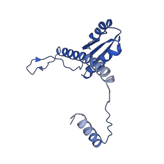 11635_7a4j_GD_v1-2
Aquifex aeolicus lumazine synthase-derived nucleocapsid variant NC-4