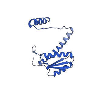 11635_7a4j_HA_v1-2
Aquifex aeolicus lumazine synthase-derived nucleocapsid variant NC-4