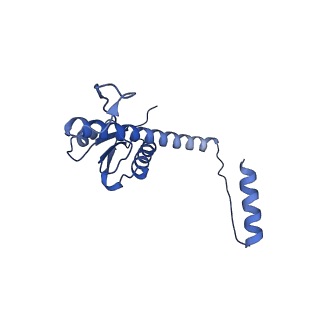 11635_7a4j_HB_v1-2
Aquifex aeolicus lumazine synthase-derived nucleocapsid variant NC-4