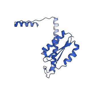 11635_7a4j_HC_v1-2
Aquifex aeolicus lumazine synthase-derived nucleocapsid variant NC-4