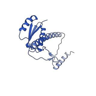 11635_7a4j_HD_v1-2
Aquifex aeolicus lumazine synthase-derived nucleocapsid variant NC-4