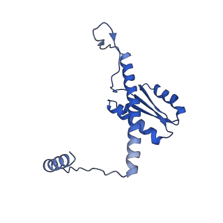 11635_7a4j_IA_v1-2
Aquifex aeolicus lumazine synthase-derived nucleocapsid variant NC-4