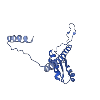 11635_7a4j_IC_v1-2
Aquifex aeolicus lumazine synthase-derived nucleocapsid variant NC-4
