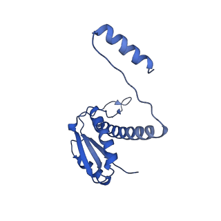 11635_7a4j_JA_v1-2
Aquifex aeolicus lumazine synthase-derived nucleocapsid variant NC-4
