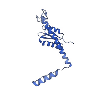 11635_7a4j_JB_v1-2
Aquifex aeolicus lumazine synthase-derived nucleocapsid variant NC-4