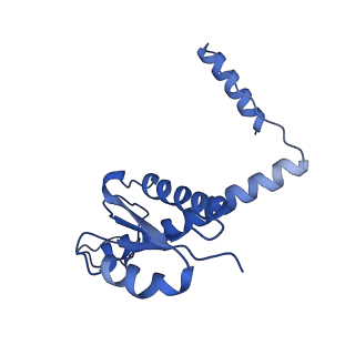 11635_7a4j_JC_v1-2
Aquifex aeolicus lumazine synthase-derived nucleocapsid variant NC-4