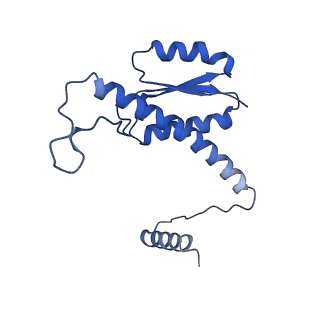 11635_7a4j_JD_v1-2
Aquifex aeolicus lumazine synthase-derived nucleocapsid variant NC-4