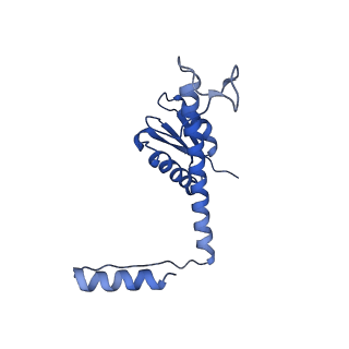 11635_7a4j_KA_v1-2
Aquifex aeolicus lumazine synthase-derived nucleocapsid variant NC-4
