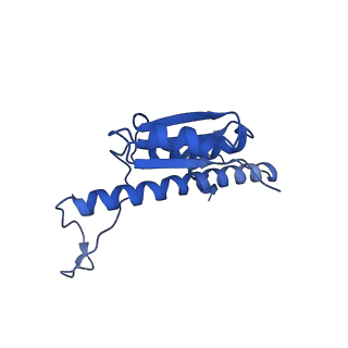 11635_7a4j_KB_v1-2
Aquifex aeolicus lumazine synthase-derived nucleocapsid variant NC-4