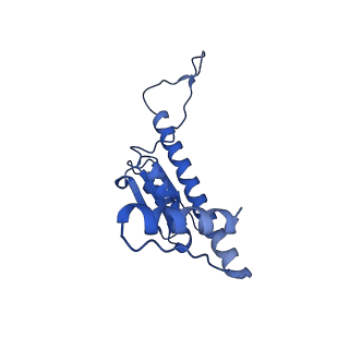 11635_7a4j_KC_v1-2
Aquifex aeolicus lumazine synthase-derived nucleocapsid variant NC-4
