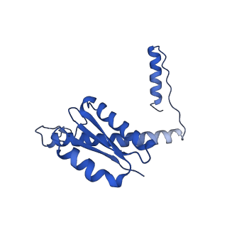 11635_7a4j_KD_v1-2
Aquifex aeolicus lumazine synthase-derived nucleocapsid variant NC-4