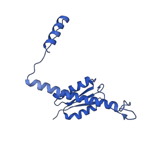 11635_7a4j_LA_v1-2
Aquifex aeolicus lumazine synthase-derived nucleocapsid variant NC-4