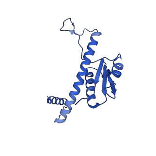 11635_7a4j_LB_v1-2
Aquifex aeolicus lumazine synthase-derived nucleocapsid variant NC-4