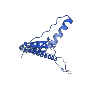 11635_7a4j_LC_v1-2
Aquifex aeolicus lumazine synthase-derived nucleocapsid variant NC-4