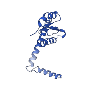 11635_7a4j_LD_v1-2
Aquifex aeolicus lumazine synthase-derived nucleocapsid variant NC-4