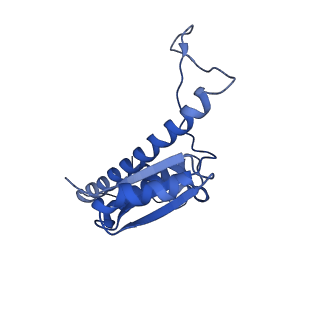11635_7a4j_MA_v1-2
Aquifex aeolicus lumazine synthase-derived nucleocapsid variant NC-4