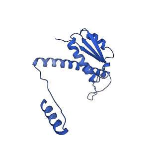11635_7a4j_MB_v1-2
Aquifex aeolicus lumazine synthase-derived nucleocapsid variant NC-4