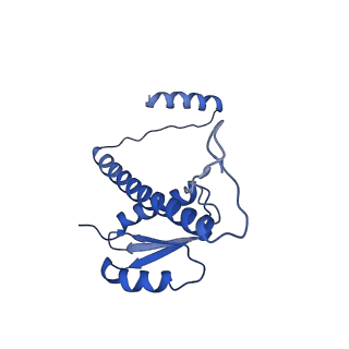 11635_7a4j_MC_v1-2
Aquifex aeolicus lumazine synthase-derived nucleocapsid variant NC-4