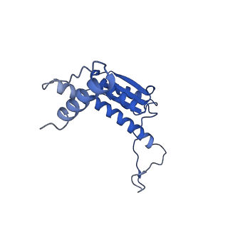 11635_7a4j_MD_v1-2
Aquifex aeolicus lumazine synthase-derived nucleocapsid variant NC-4