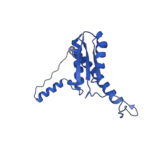 11635_7a4j_NA_v1-2
Aquifex aeolicus lumazine synthase-derived nucleocapsid variant NC-4