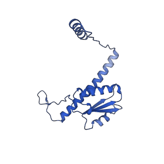 11635_7a4j_NB_v1-2
Aquifex aeolicus lumazine synthase-derived nucleocapsid variant NC-4
