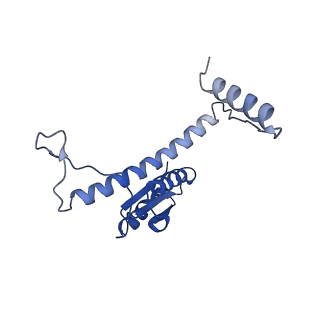 11635_7a4j_ND_v1-2
Aquifex aeolicus lumazine synthase-derived nucleocapsid variant NC-4