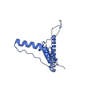 11635_7a4j_OB_v1-2
Aquifex aeolicus lumazine synthase-derived nucleocapsid variant NC-4