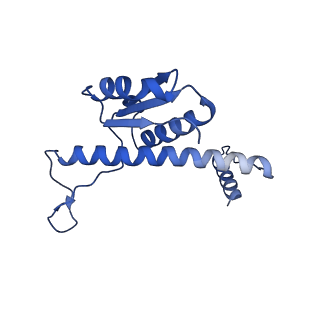 11635_7a4j_OC_v1-2
Aquifex aeolicus lumazine synthase-derived nucleocapsid variant NC-4